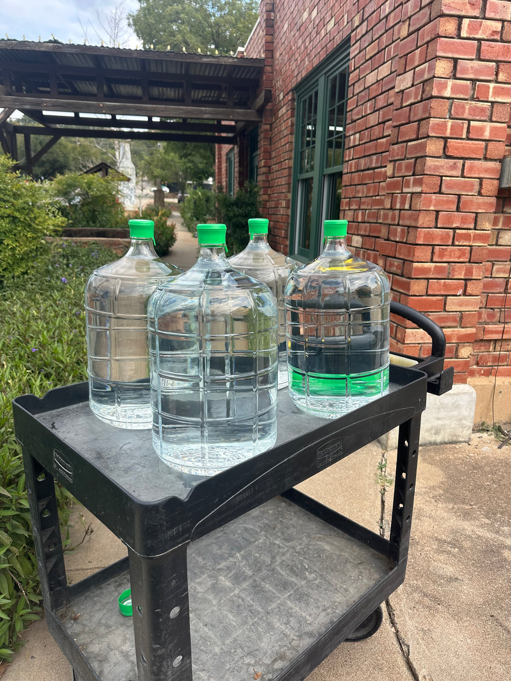 MINERAL WATER SUBSCRIPTION